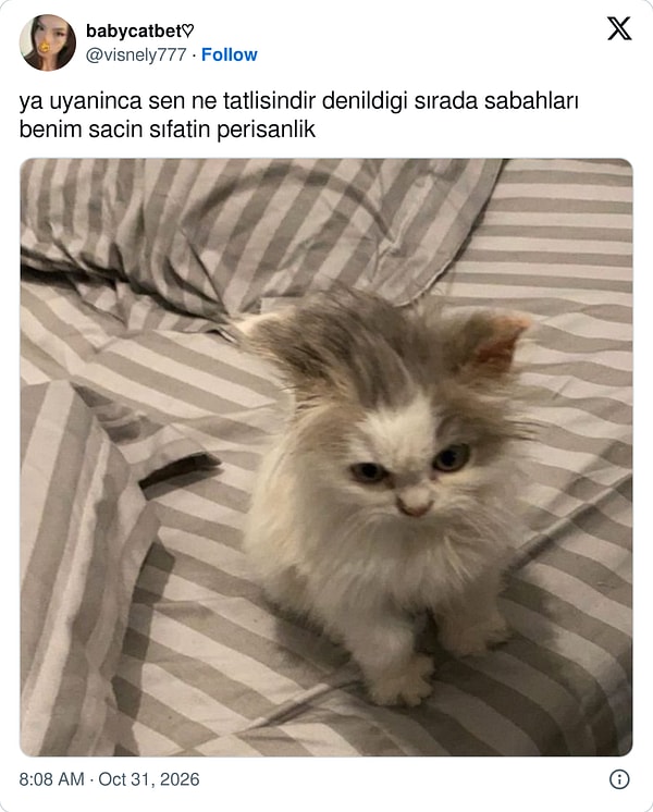Daha ne olsun?
