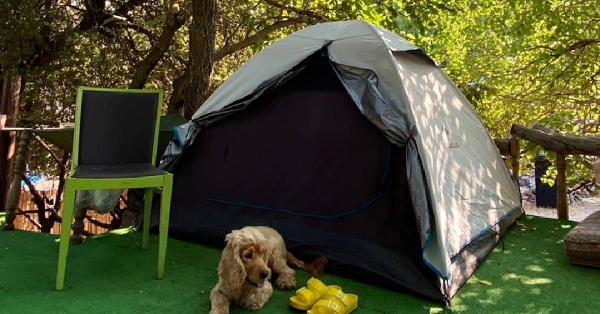 9. Seles Camping: