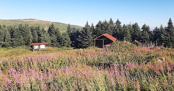 14. Ilgaz Dağı Millî Parkı