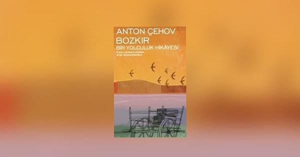 20. Bozkır Bir Yolculuk Hikayesi - Anton Çehov