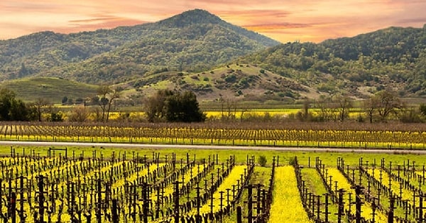 1. Napa, California