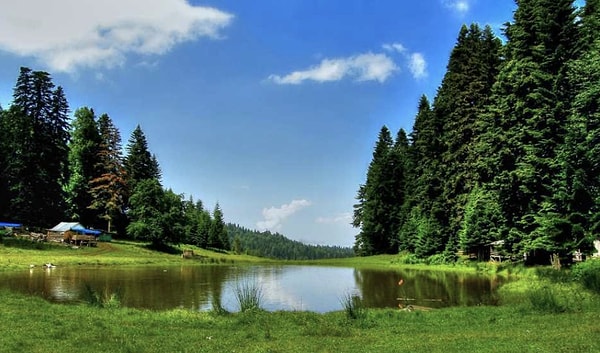 12. Pürenli Yaylası - Düzce