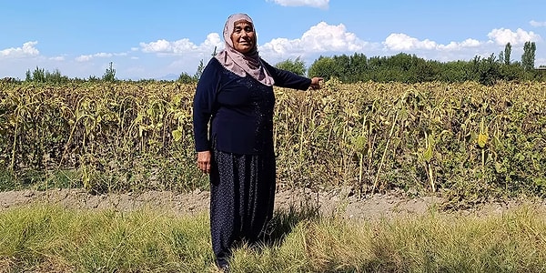 "Çekirdek üreticisiyim. 30 dönüm çekirdek ektik. 9 ton hasat yaptık. Çekirdeğin kilogramını 40 TL'den sattık. Bu çekirdeğin özelliği, havası, suyu, her şeyi, Erciyes Dağı’nın püskürttüğü lavlardan kaynaklı verimli topraklarda yetişiyor olması."