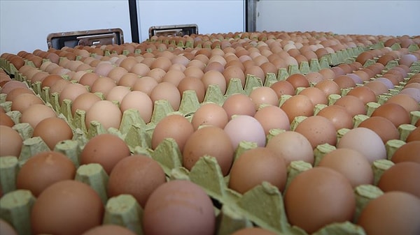 'Son Tüketim Tarihi' yerine 'Tavsiye Edilen Tüketim Tarihi'